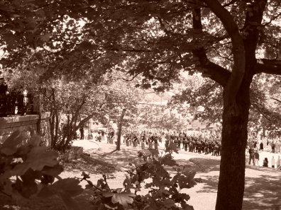 Images of Newfoundland